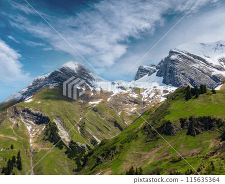 Alpine view (Vorarlberg,Austria) Alpine view (Vorarlberg,Austria) 115635364