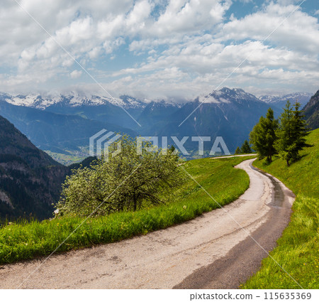 Summer Alps mountain, Switzerland 115635369