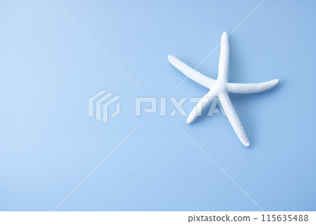 背景材質/海圖案白色海星 115635488