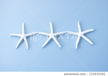 Background material, sea motif, white starfish 115635491