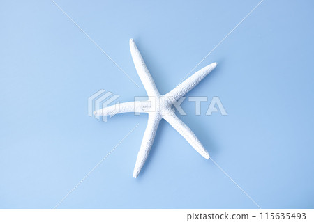 Background material, sea motif, white starfish 115635493