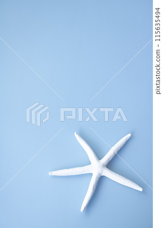 Background material, sea motif, white starfish 115635494