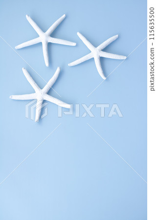 Background material, sea motif, white starfish 115635500