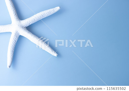 Background material, sea motif, white starfish 115635502