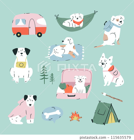 Set of different dogs ready for travelling, adventures 115635579