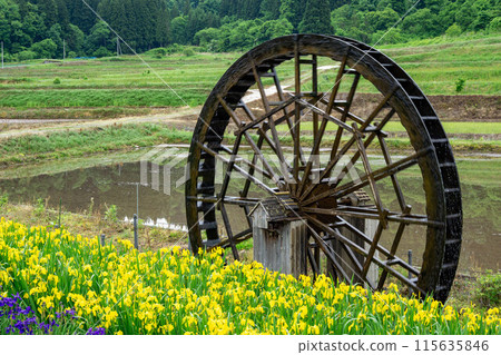 Spring water wheel at Sakuyazawa 115635846