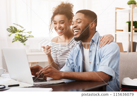 Searching tour. African-american couple using laptop, preparing for holidays 115636079