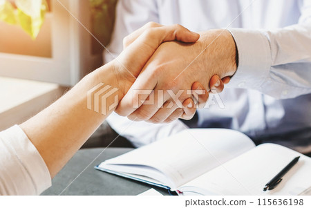 Deal. Handshake of businessmen during lunch break, came to agreement, closeup 115636198