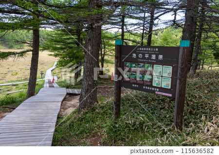 Boardwalk leading to Ikenotaira Marsh, Tomi City, Nagano Prefecture Boardwalk leading to Ikenotaira Marsh, Tomi City, Nagano Prefecture 115636582
