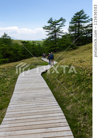 Boardwalk leading to Ikenotaira Marsh, Tomi City, Nagano Prefecture Boardwalk leading to Ikenotaira Marsh, Tomi City, Nagano Prefecture 115636583