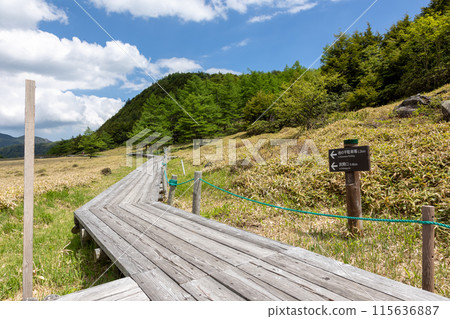 Ikenotaira Marshland, Tomi City, Nagano Prefecture 115636887