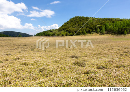 Ikenotaira Marshland, Tomi City, Nagano Prefecture 115636962