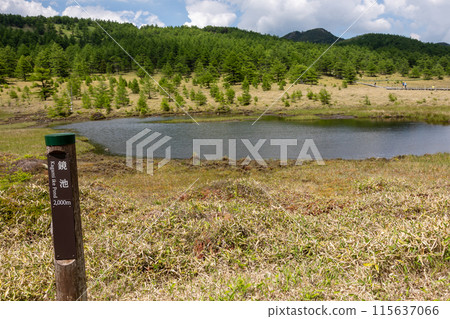 Kagami Pond in Ikenotaira Marsh, Tomi City, Nagano Prefecture Kagami Pond in Ikenotaira Marsh, Tomi City, Nagano Prefecture 115637066