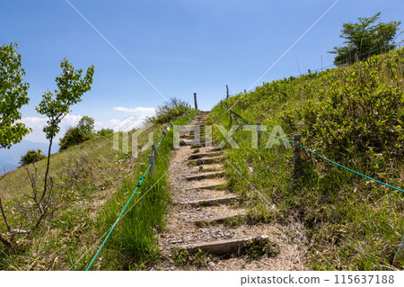 Hiking trail from Ikenotaira Marsh to Mikatagamine, Tomi City, Nagano Prefecture Hiking trail from Ikenotaira Marsh to Mikatagamine, Tomi City, Nagano Prefecture 115637188