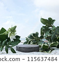 Natural stone and concrete podium on tropical beach with flowers. Empty showcase for packaging product  115637484