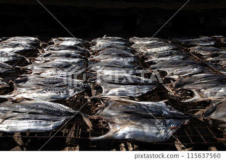 Tuna drying process on the coast of Sri Lanka 115637560