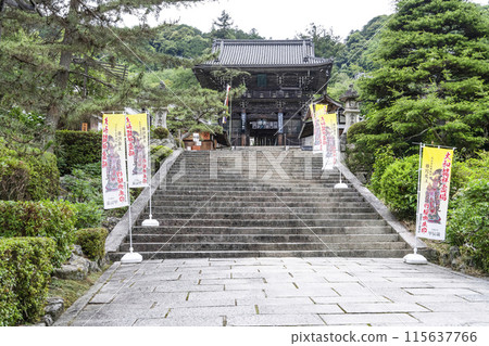 六月的長谷寺(奈良郡)仁王門 六月的長谷寺(奈良郡)仁王門 115637766