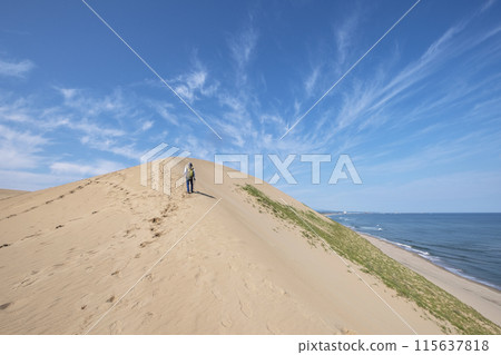 Image of trekking in Tottori Sand Dunes 115637818