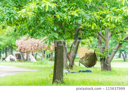 在新鮮綠樹叢中的吊床上放鬆身心 115637999