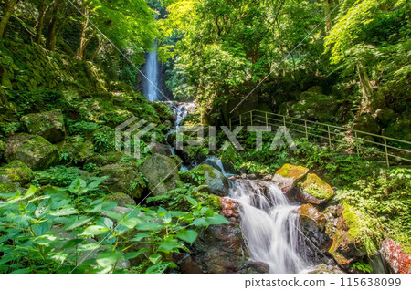 Yoro Falls (Yoro Park, Yoro Town, Gifu Prefecture) 115638099