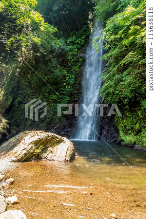 Yoro Falls (Yoro Park, Yoro Town, Gifu Prefecture) 115638118