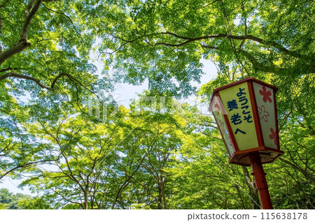 養老公園散步道上的燈籠【岐阜縣、養老町、養老公園、養老瀑布】 養老公園散步道上的燈籠【岐阜縣、養老町、養老公園、養老瀑布】 115638178