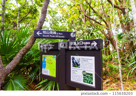 小笠原群島父島旭山風景 115638203