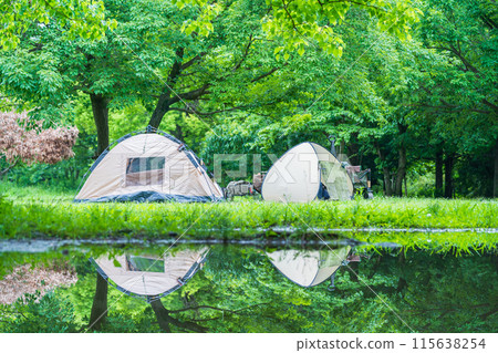 Camping in fresh green 115638254