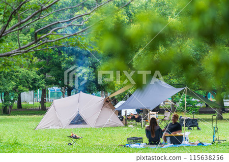 Camping in fresh green Camping in fresh green 115638256
