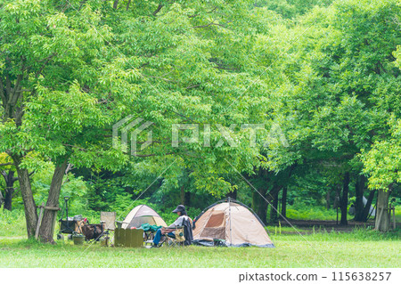 Camping in fresh green 115638257