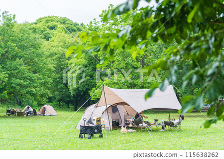 Camping in fresh green 115638262