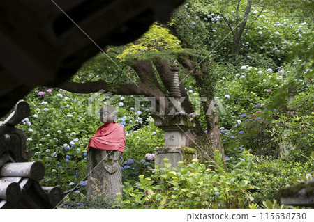 Hydrangeas and Jizo statues at Hasedera Temple (Nara Prefecture) in June Hydrangeas and Jizo statues at Hasedera Temple (Nara Prefecture) in June 115638730