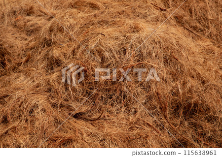 coconut coir rope making with traditional process 115638961