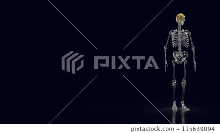 The crystal skeleton and gold brain for education or health concept 3d rendering. 115639094