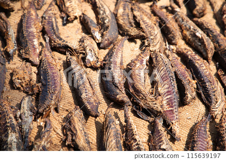 Tuna drying process on the coast of Sri Lanka 115639197