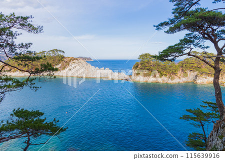 岩手縣宮古市、三陸的壯麗景色、淨土濱海灘 115639916