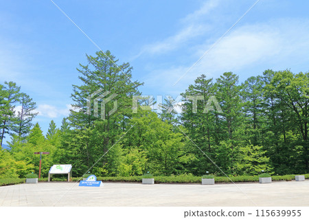 National Alps Azumino Park Omachi/Matsukawa District 115639955
