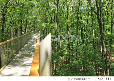 國立阿爾卑斯安zu野公園大町/松川地區空中走廊 115640114