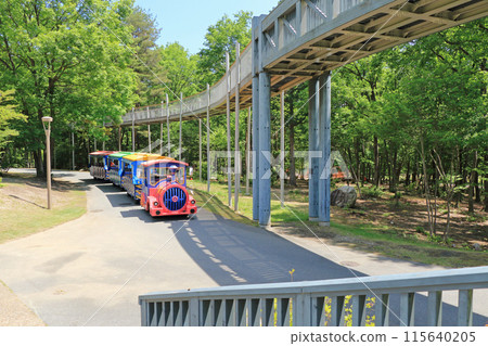 National Alps Azumino Park Omachi/Matsukawa District 115640205