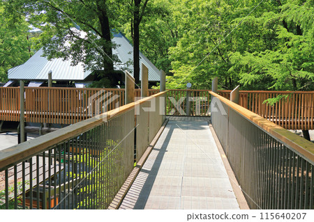 國立阿爾卑斯安zu野公園大町/松川地區森林體驗館 115640207