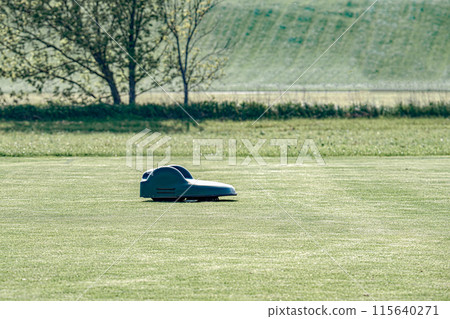 A battery-powered electric lawnmower drives across the field and cuts the grass. A battery-powered electric lawnmower drives across the field and cuts the grass. 115640271