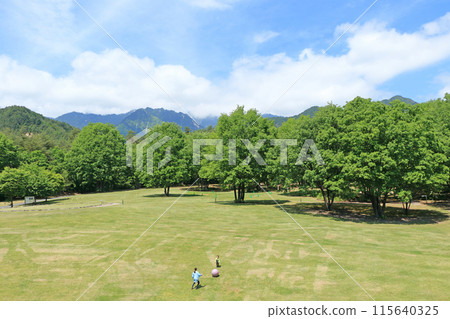國家阿爾卑斯山安zu野公園大町/松川地區阿爾卑斯大草原 國家阿爾卑斯山安zu野公園大町/松川地區阿爾卑斯大草原 115640325