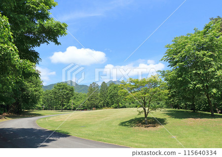 國立阿爾卑斯安zu野公園大町/松川區 115640334