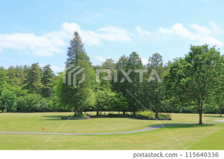 國立阿爾卑斯安zu野公園大町/松川區 115640336