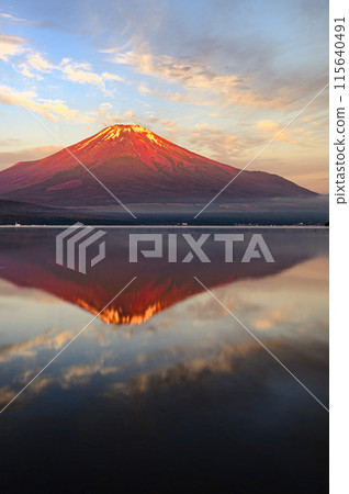 初夏從山中湖看到的清晨的紅富士 初夏從山中湖看到的清晨的紅富士 115640491