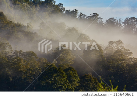Mountains in mist in New Zealand Mountains in mist in New Zealand 115640661