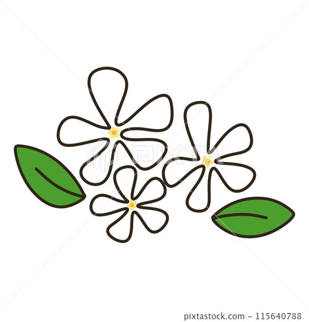 Tei Ka Zera Tei Ka Zera 115640788