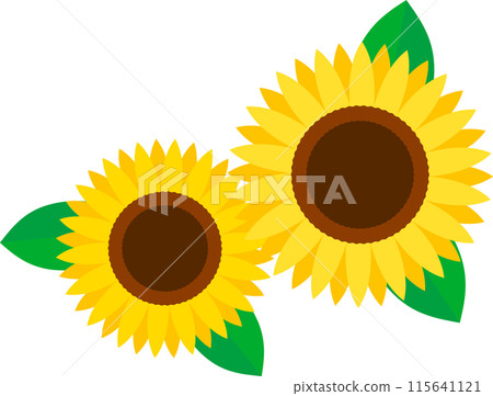 兩個簡單的向日葵插圖 115641121