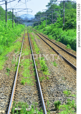 View from the train window from Naoetsu Station to Kashiwazaki Station on the JR East Shinetsu Main Line (Summer 2022) View from the train window from Naoetsu Station to Kashiwazaki Station on the JR East Shinetsu Main Line (Summer 2022) 115641320