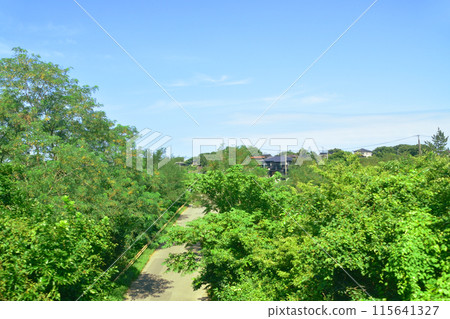 View from the train window from Naoetsu Station to Kashiwazaki Station on the JR East Shinetsu Main Line (Summer 2022) View from the train window from Naoetsu Station to Kashiwazaki Station on the JR East Shinetsu Main Line (Summer 2022) 115641327